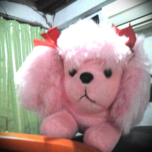 Boneka Anak Anjing Warna Pink Mungil Toys Collectibles Toys On