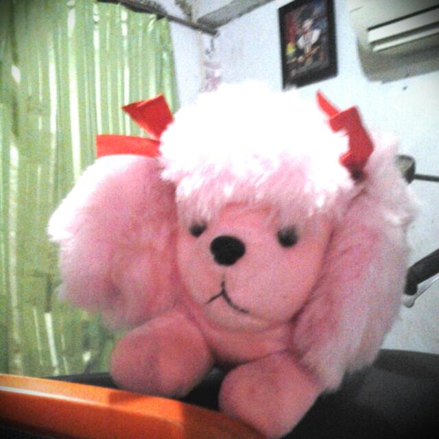 Boneka Anak Anjing Warna Pink Mungil Toys Collectibles Toys On