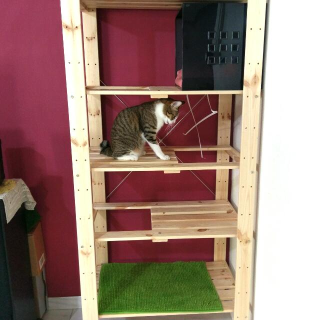 Custom Handmade Cat Tree/tower (Cat not included), Pet Supplies, Homes