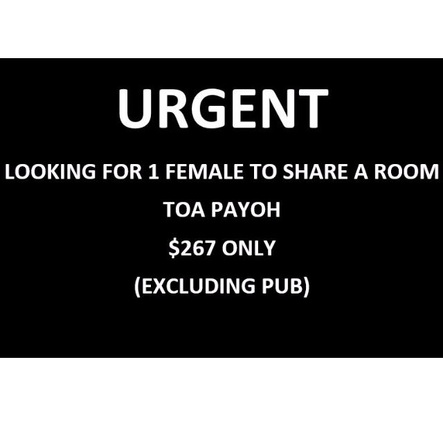 (Category: ) located in . Submitted by lhee06 (Listing ID 72418089, Image 1). Description: .
