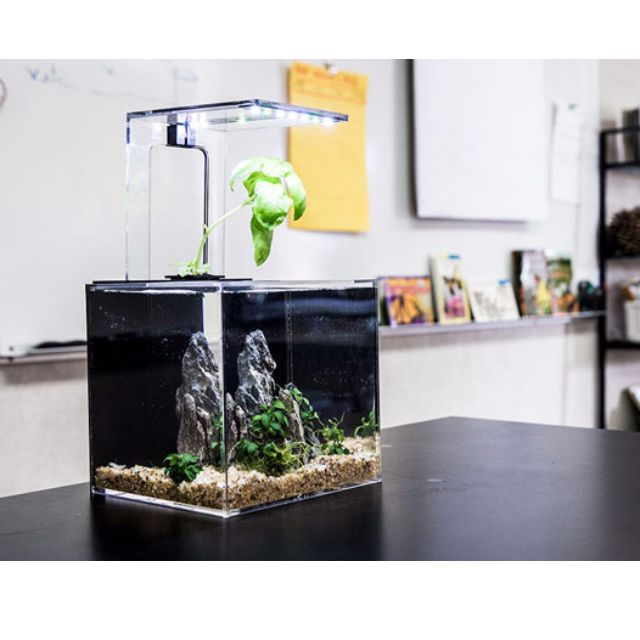 Ecoqube c aquarium discount