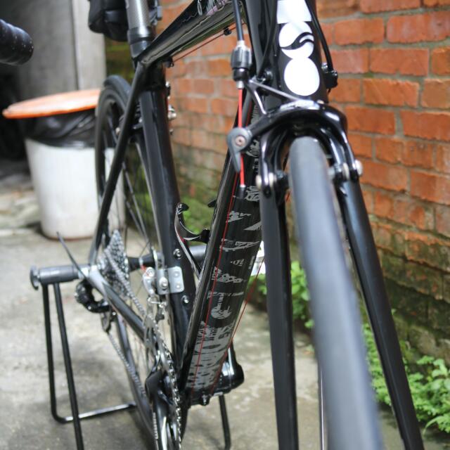 Giant Tcr SL 100, 運動休閒, 自行車在旋 