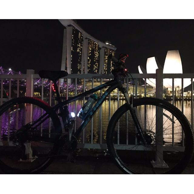 29rs sales mountain bike