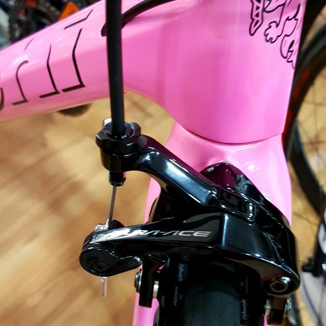 bianchi classic frame