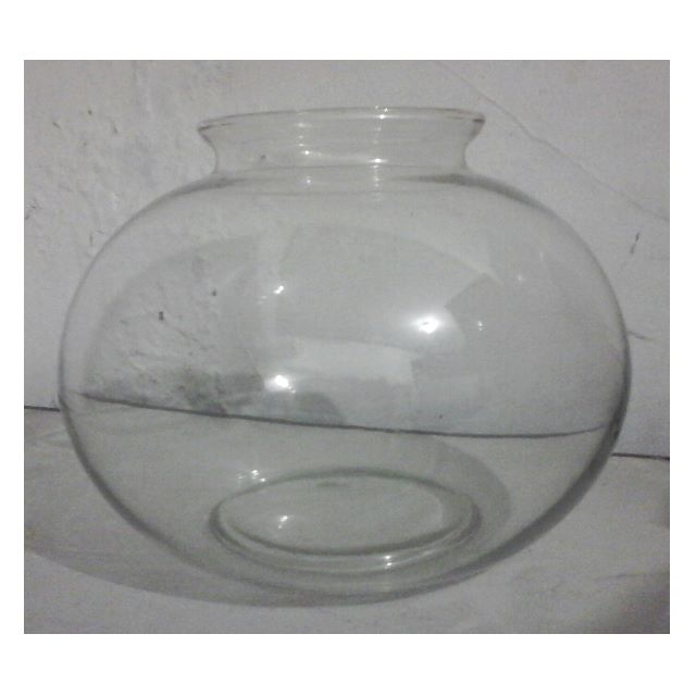 Aquarium Bulat Pet Supplies Accessories On Carousell