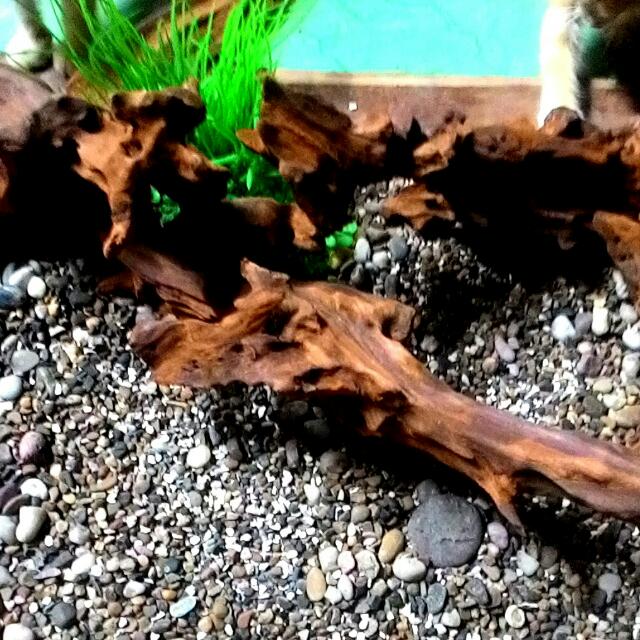Aquascape Wood Kayu Hiasan Kolam Akuarium Everything Else