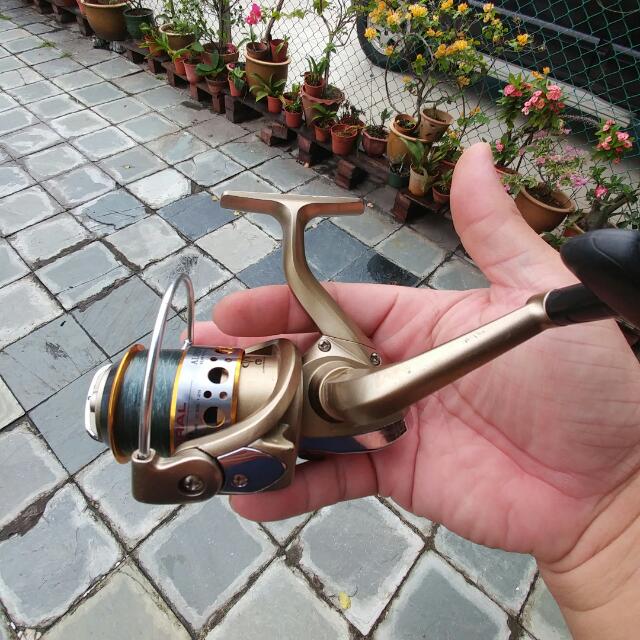 Alpine Spinning Reel 2000 Size, Sports Equipment, Fishing on Carousell