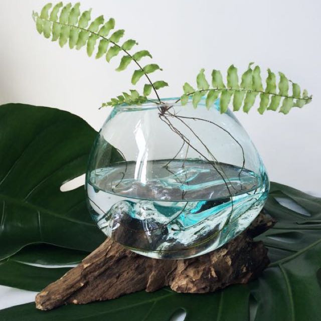 Hand Blown Molten Glass With Wood Terrarium Furniture On Carou - Melted Glass And Wood Terrarium Hand Blown Molten Glass With Wood Terrarium Furniture On Carou - Melted Glass And Wood Terrarium