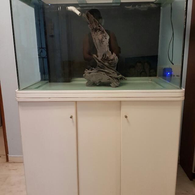 Wts Haiyang Brand Big Rounded Corner Aquarium Sump Pump Cabinet