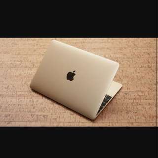Macbook 12" Gold