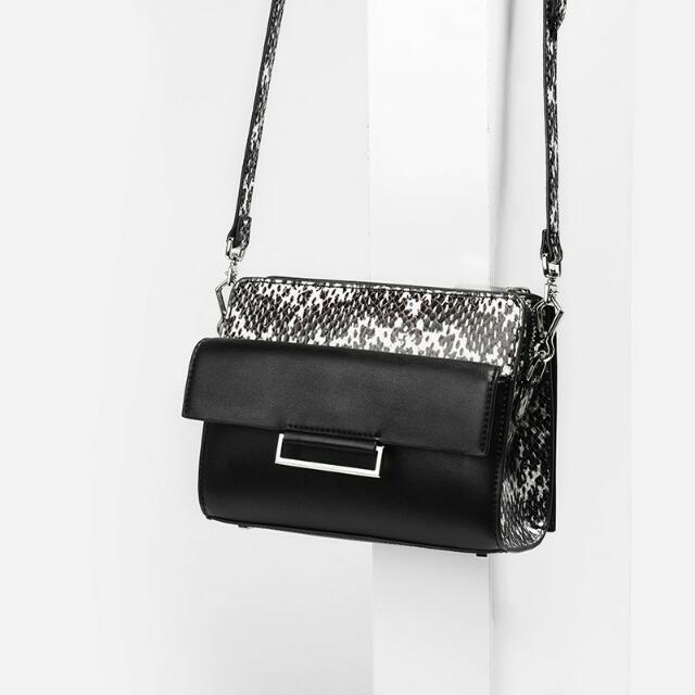 charles and keith snakeskin bag