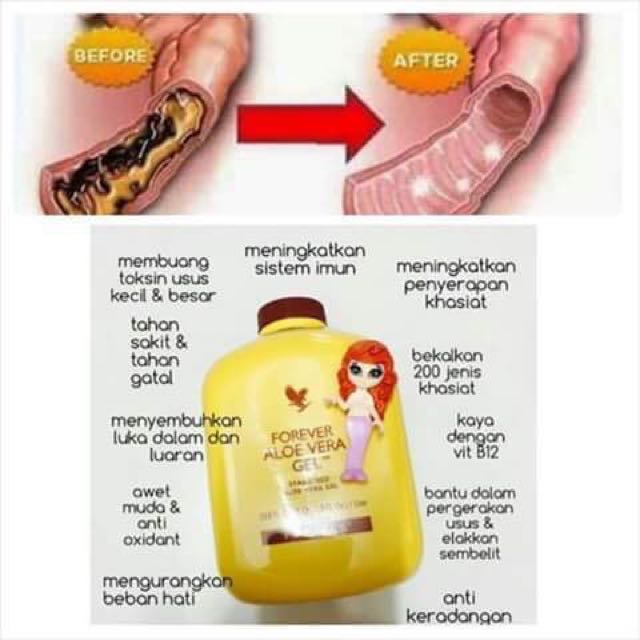Aloe Vera Gel From Forever Living Products Health Beauty Skin Bath Body On Carousell