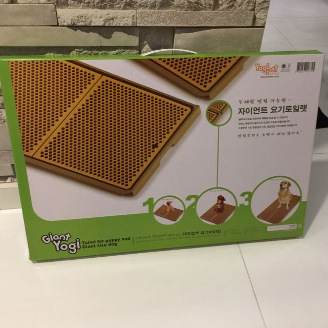 yogi pee pan Yogi pee pan