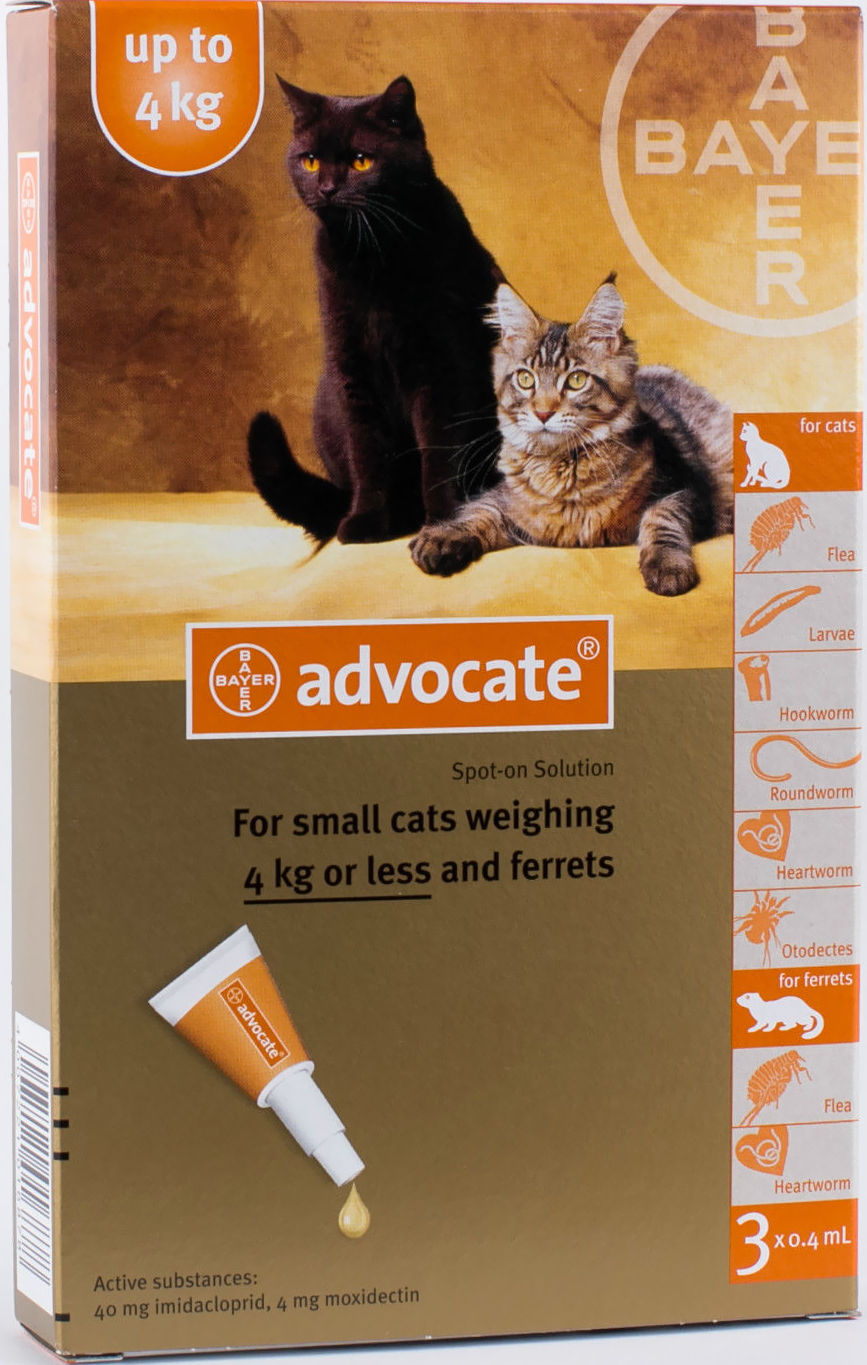 cheapest advocate for cats