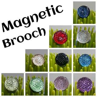 Magnetic Brooch