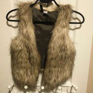 H&M Faux Fur Vest