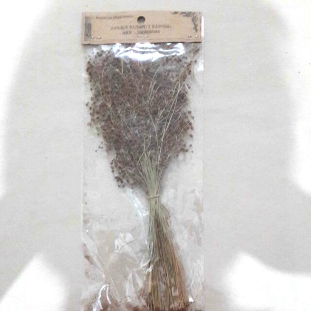Hiasan Rumput Kering Buku Alat Tulis Alat Tulis Di Carousell