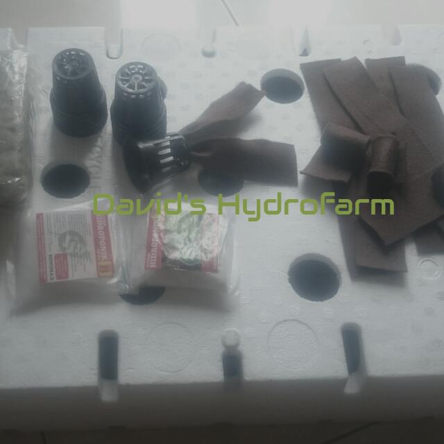 Paket Starter Kit Hidroponik Wick System Gardening On Carousell