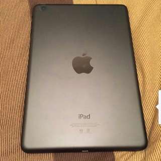 iPad mini wife  16g