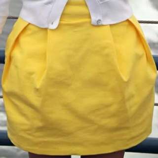 Zara TRF Tulip Skirt
