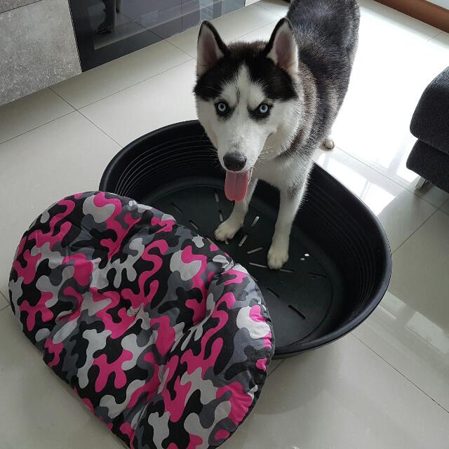 Pink camo dog bed sales