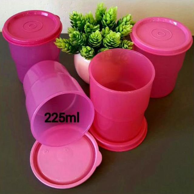 Unduh 77 Gambar Gelas Tumbler Tupperware Terbaik HD