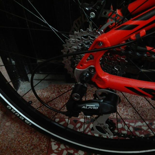 bergamont mtb