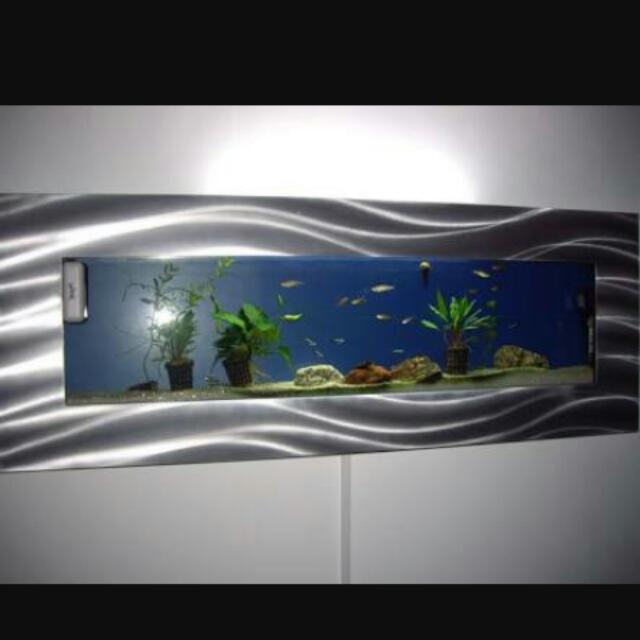 Hanging Wall Fish Tank Pets Supplies Others On Carou - Wall Fish Tanks Australia Hanging Wall Fish Tank Pets Supplies Others On Carou - Wall Fish Tanks Australia
