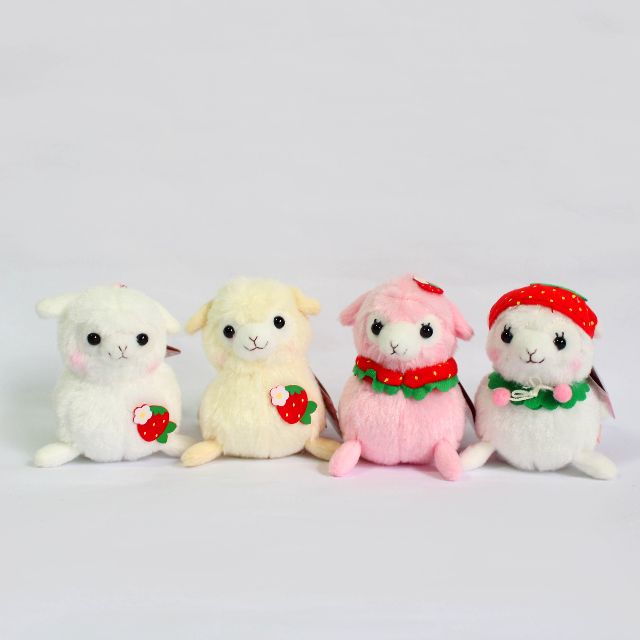 kids alpacasso