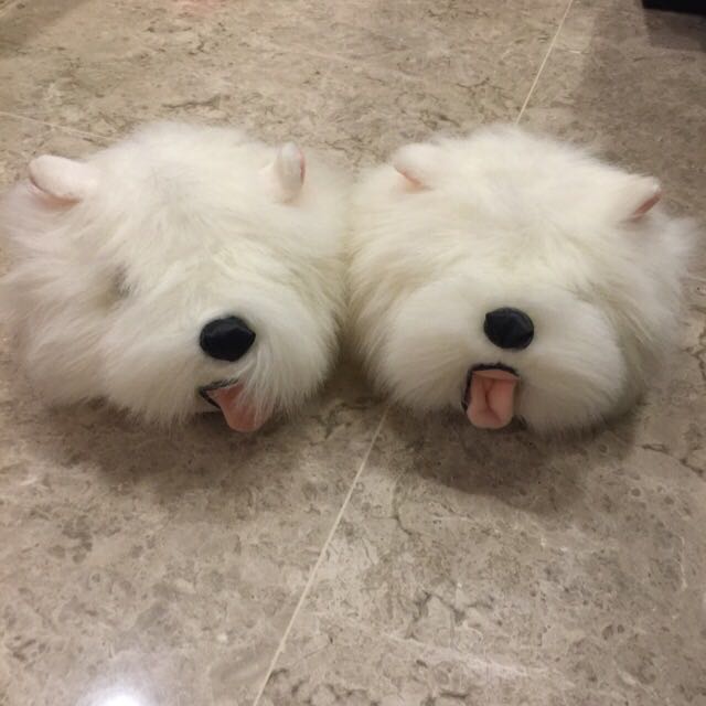 Maltese dog slippers top