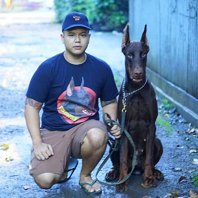 Topi Dan Kaos Anjing Doberman Community On Carousell