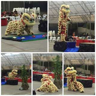 Dragon & Lion Dance Performance