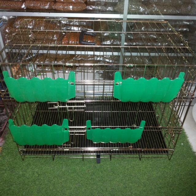 kandang kucing kandang kelinci dan hay rak buat kelinci kandang kucing kandang kelinci dan hay rak buat kelinci