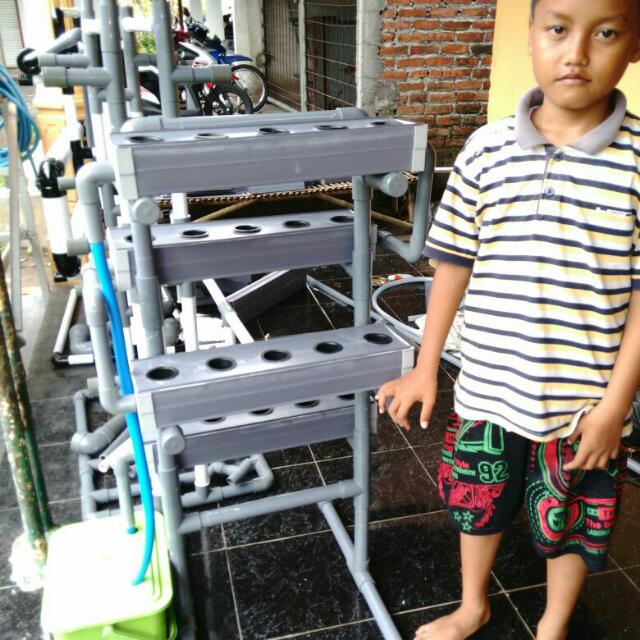 Kit Hidroponik Talang Air Gardening On Carousell