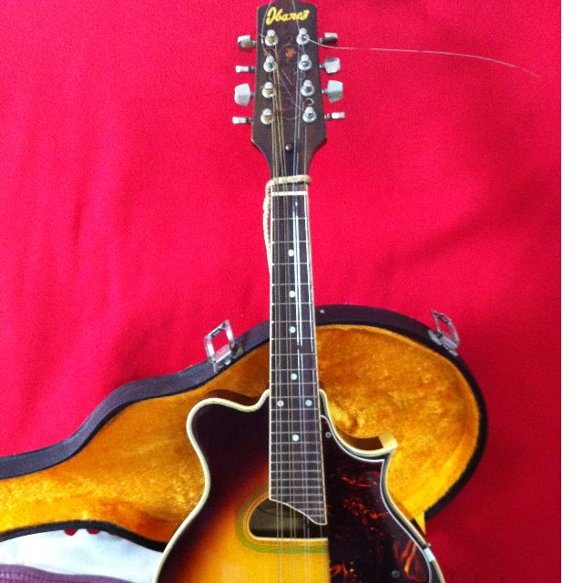 ibanez 513 mandolin