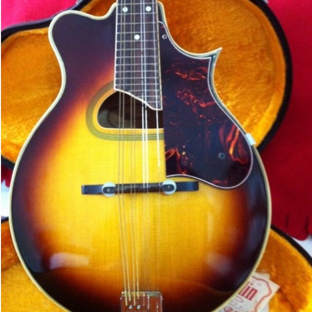 ibanez 513 mandolin