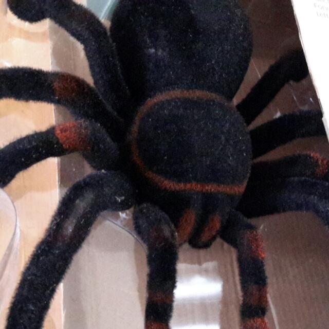 rc tarantula