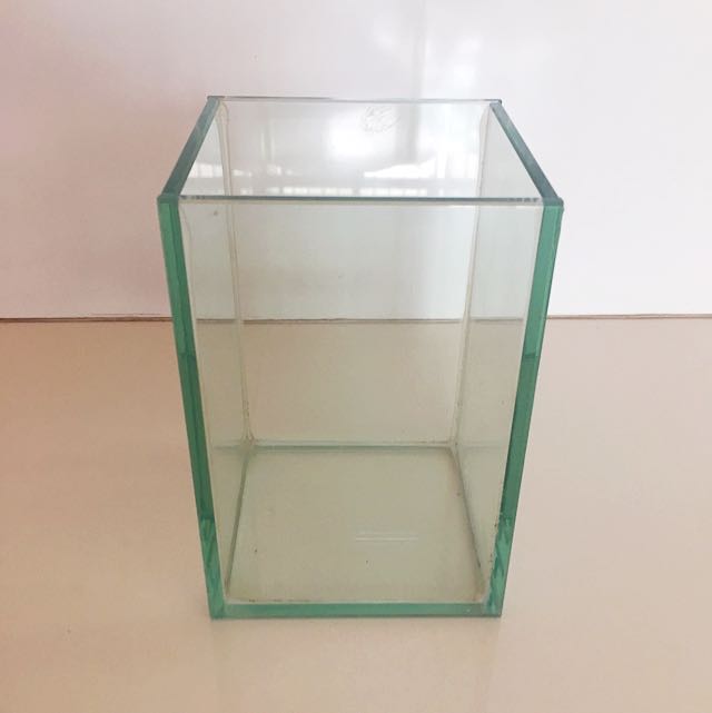 Glass Container For Betta Fish Vase Storage Decorative For Sale