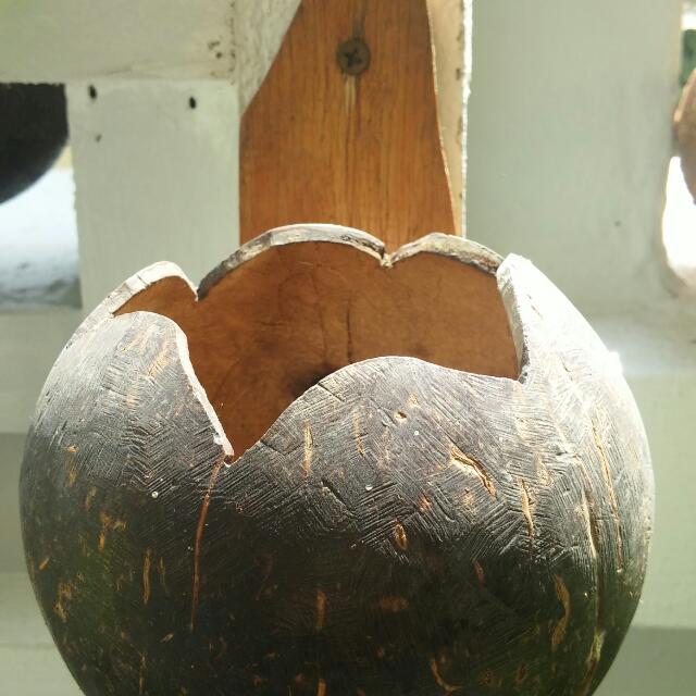 Coconut Shell Wood Wall Mount Planter Pot, Furniture & Home Living