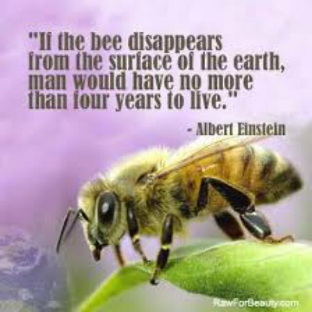 Save Our Bees (Category: Other Home Decor) located in Singapore. Submitted by jpang57 (Listing ID 78956413, Image 2). Description: .