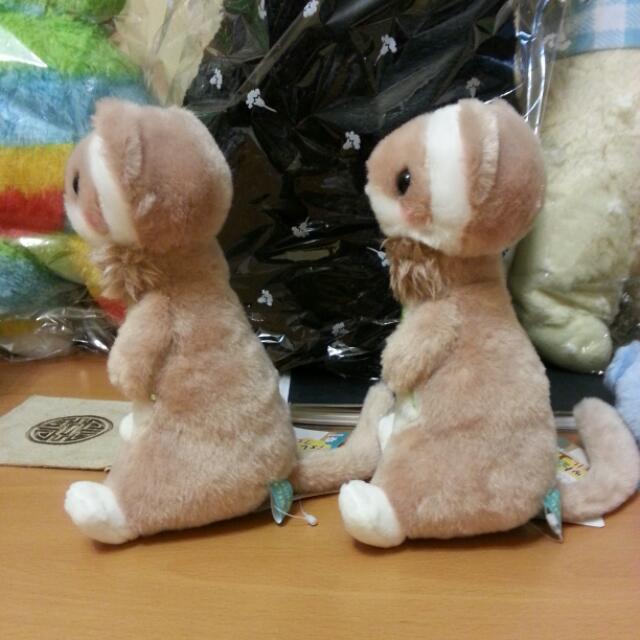 Gokigen ferret discount