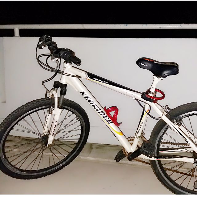 neo rider bicycle price
