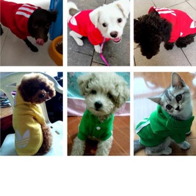 Adidas jacket deals for dogs