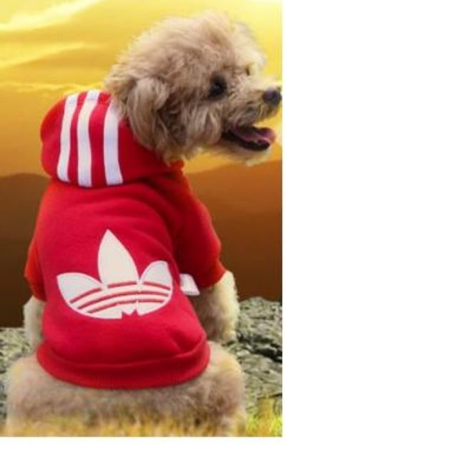 Dog adidas hoodie online