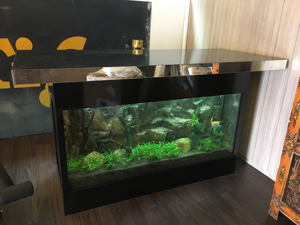 Six foot bar counter with fish tank base, Pet Supplies, Homes & Other Pet  Accessories on Carousell