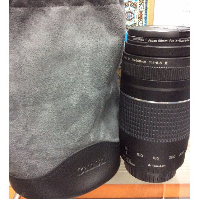 Canon Ef 75 300mm F 4 5 6 Iii Usm Len Electronics Others On Carousell
