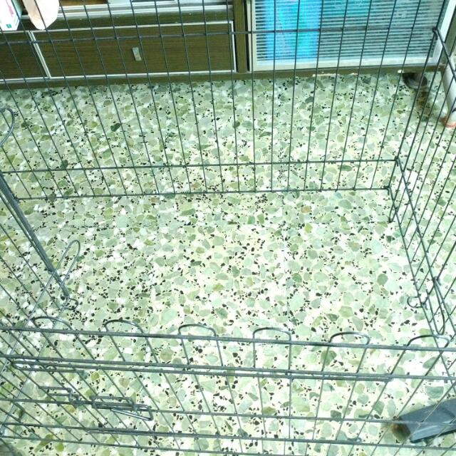 Preloved Dog Cage Set), Pet Supplies, Homes & Other Pet