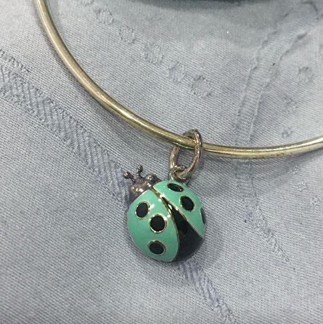 Tiffany and store co ladybug charm