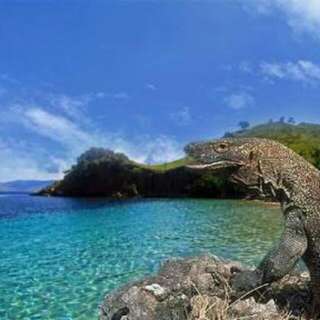 Trip Sailing Taman Nasional Komodo Trip Sailing Taman Nasional Komodo
