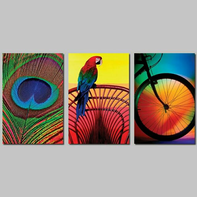 Rainbow Colors Peacock Feather Decoration Parrot Bicycle Canvas